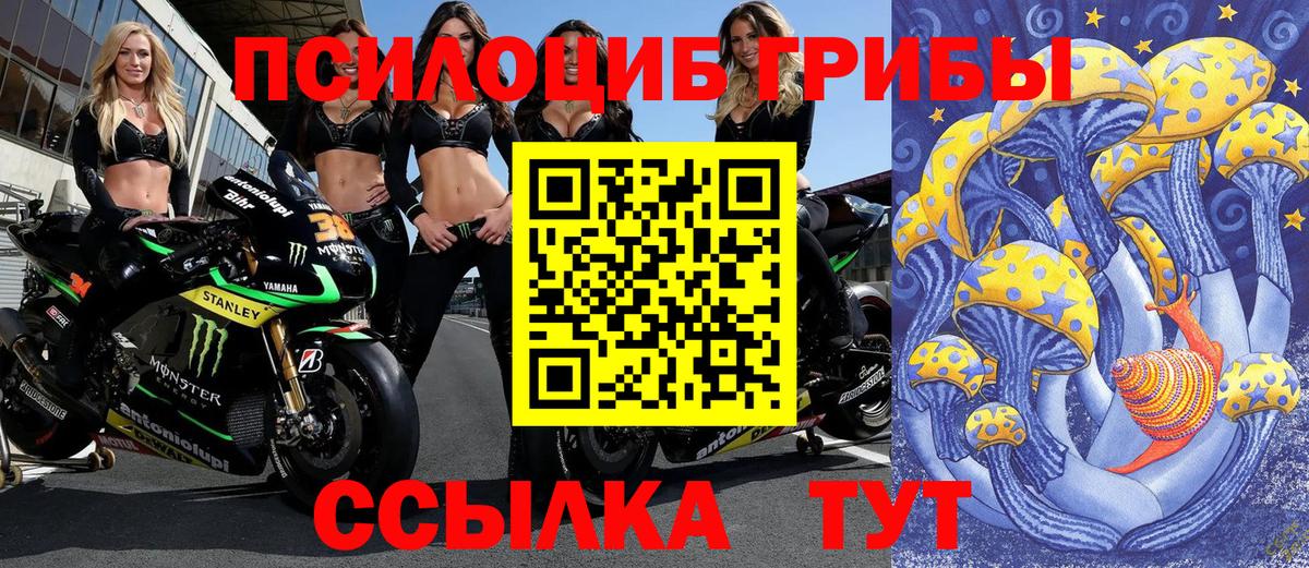 Новотроицк  Псилоцибиновые грибы Magic Shrooms  Вход с VPN 